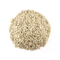 Słonecznik ŁUSKANY 1kg-2499
