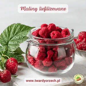 Maliny liofilizowane 500g-4931